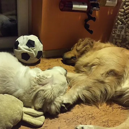 Kasia I Michal Bed & Breakfast Szklarska Poreba