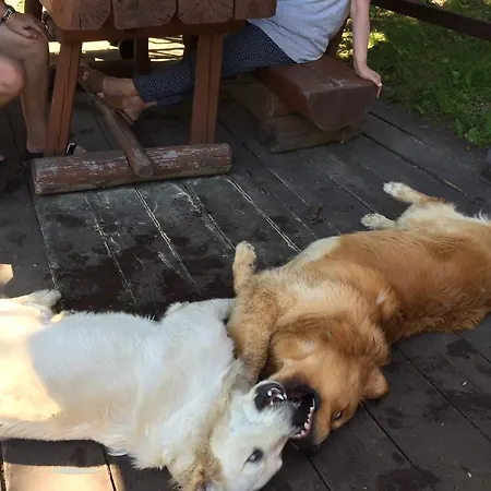 Kasia I Michal 3* Szklarska Poreba