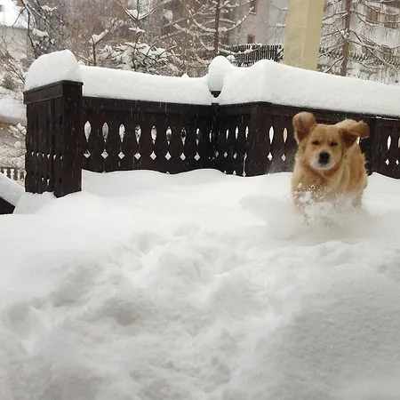 Kasia I Michal Szklarska Poreba
