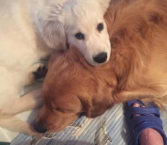 Bed & Breakfast Kasia I Michal