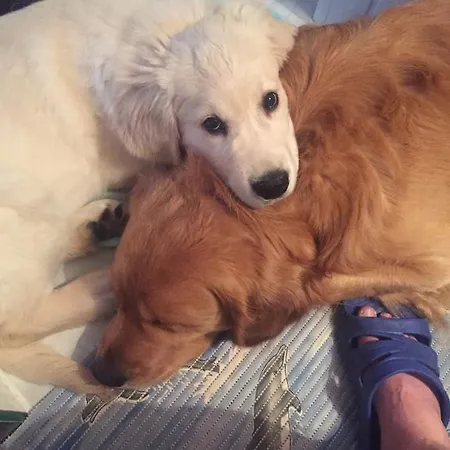 לינה וארוחת בוקר Kasia I Michal