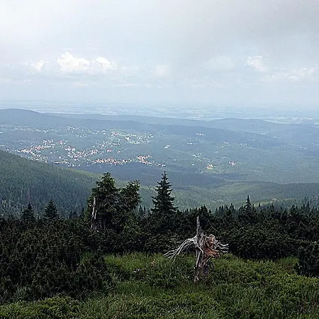 Kasia I Michal שצ'קלארסקה פוראובה