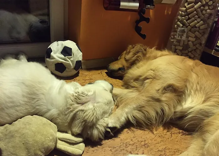 Kasia I Michal Nocleg ze śniadaniem Szklarska Poręba