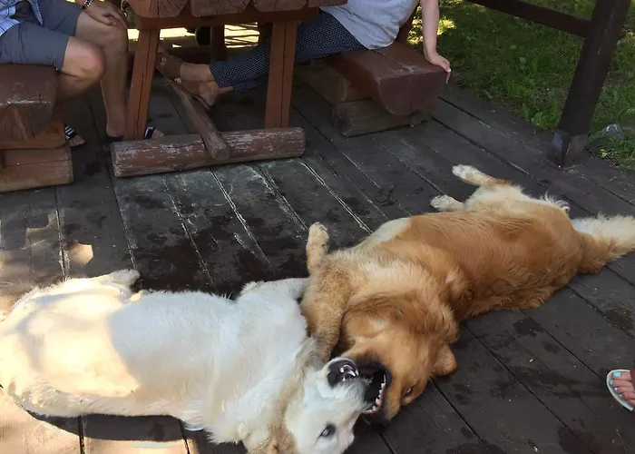 Kasia I Michal 3* Szklarska Poręba