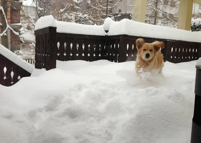 Kasia I Michal 斯克拉斯卡波伦巴